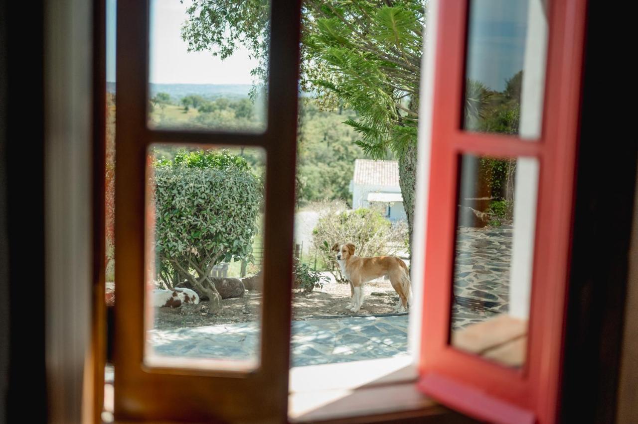 Monte Gois Country House e Spa Curvatos Exterior foto