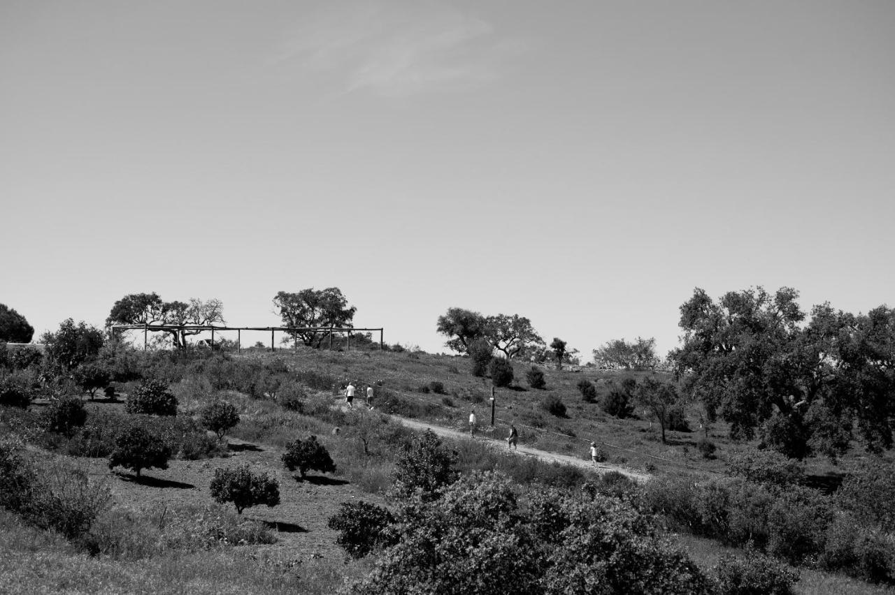 Monte Gois Country House e Spa Curvatos Exterior foto